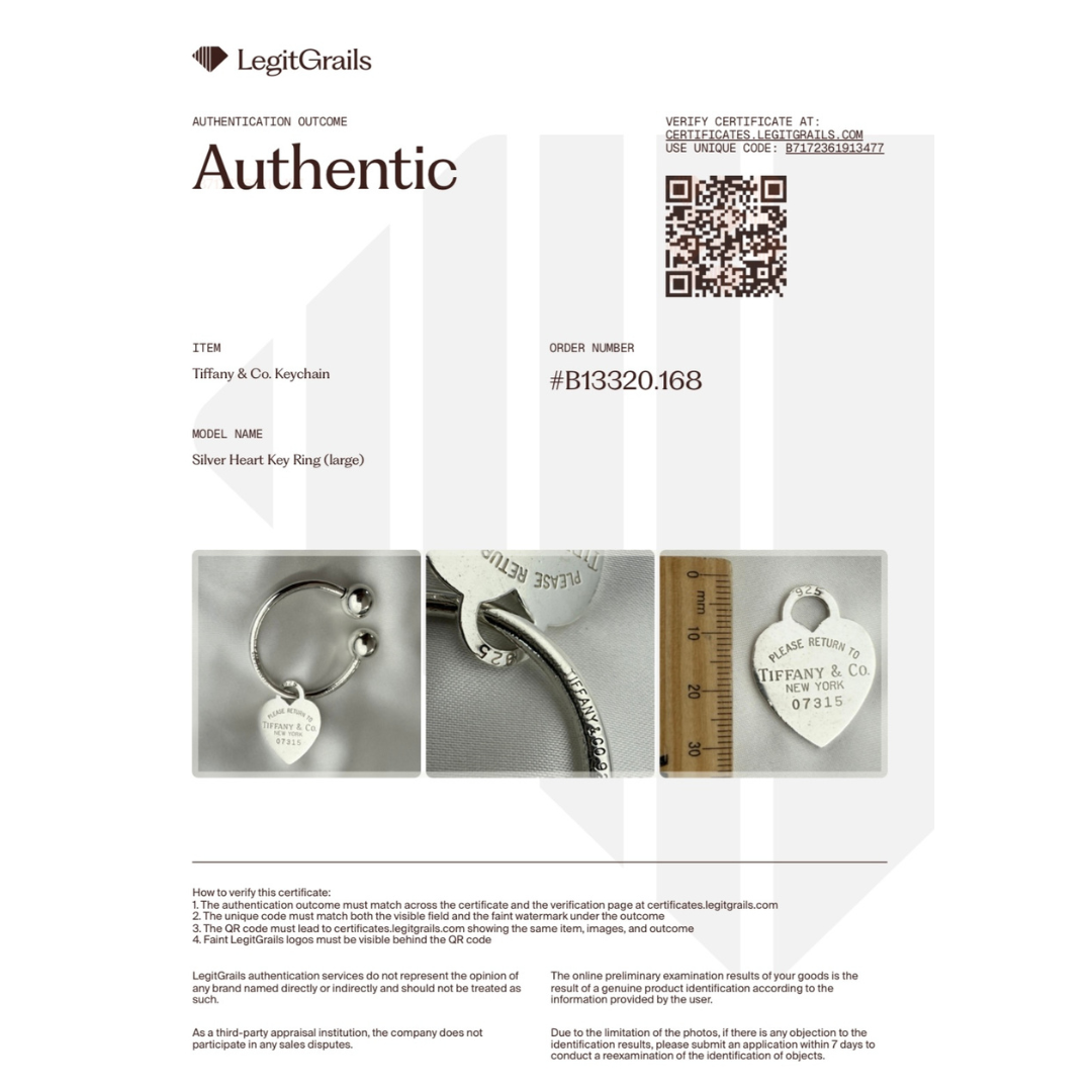 Large Silver Keyring