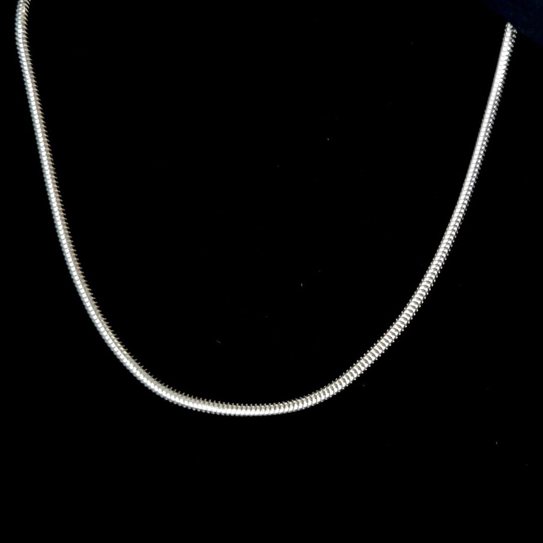 Silver Snake Chain Necklace